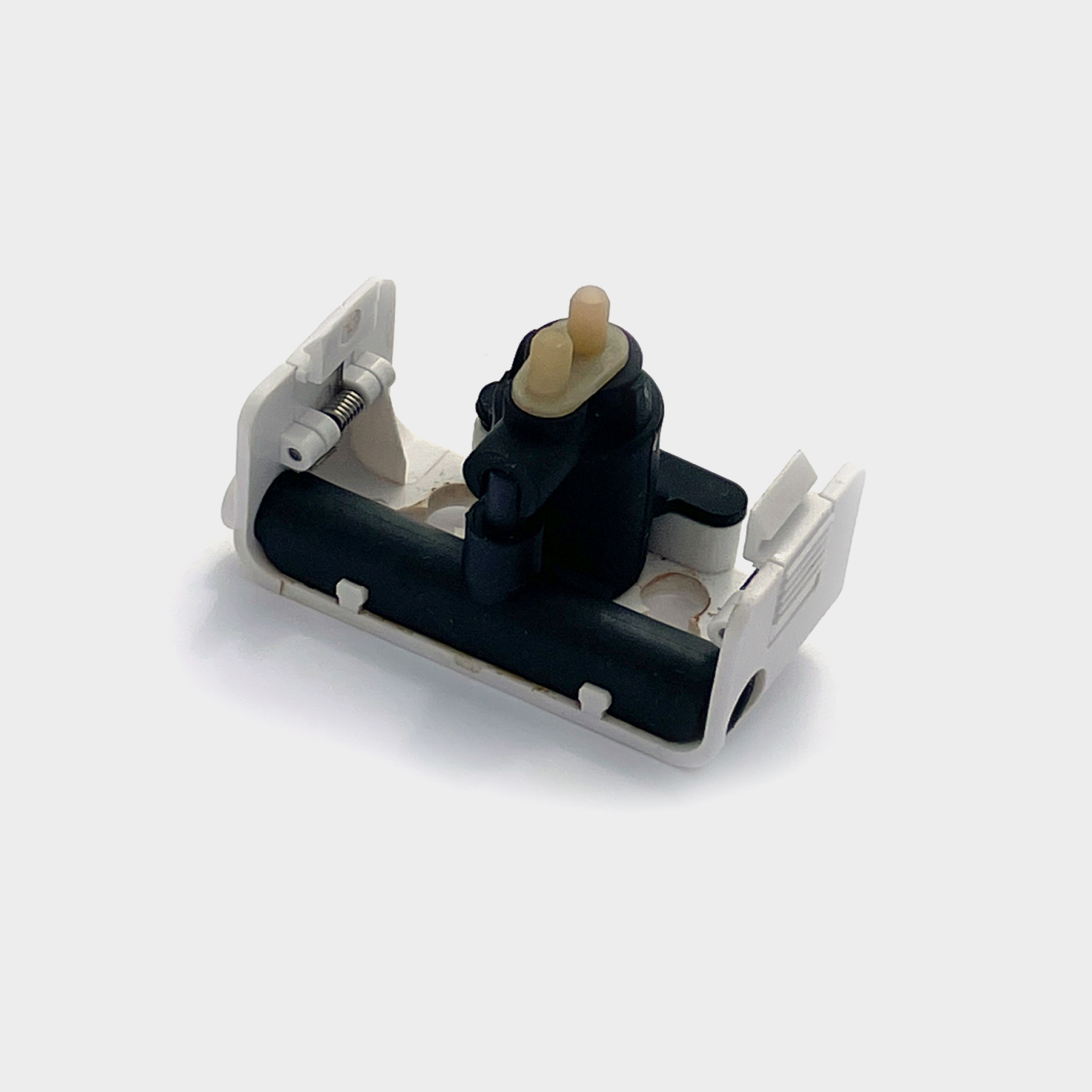 Steam Spout Assembly
