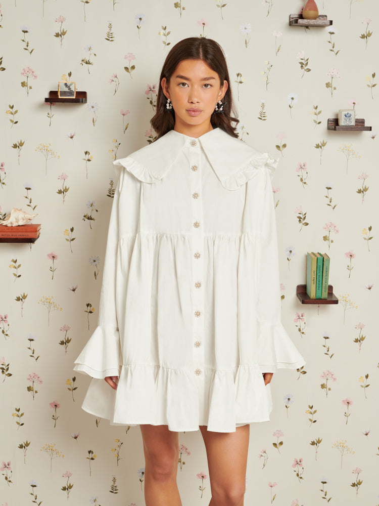 Curious Collar Mini Dress