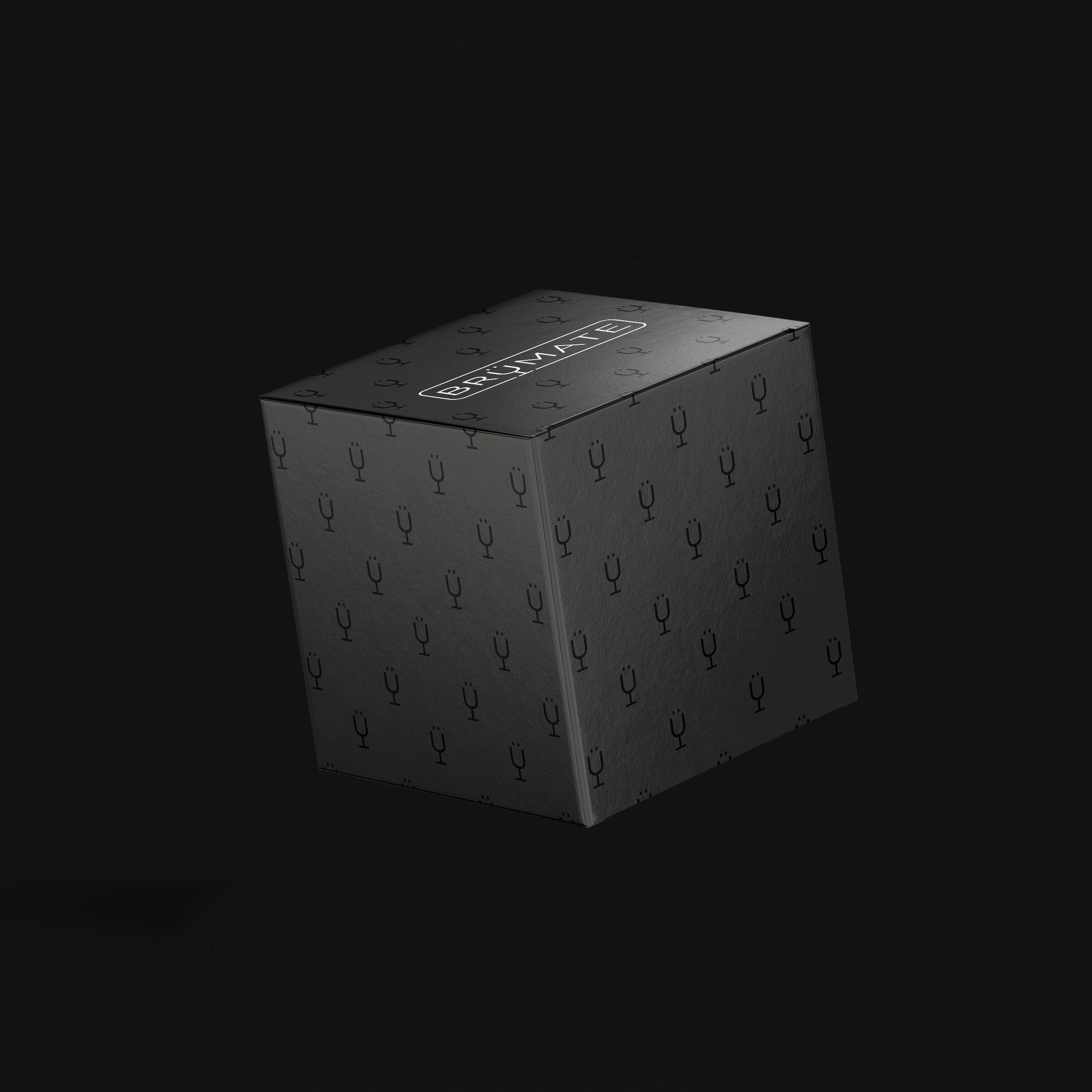 Mystery Item ($25-40 Value)