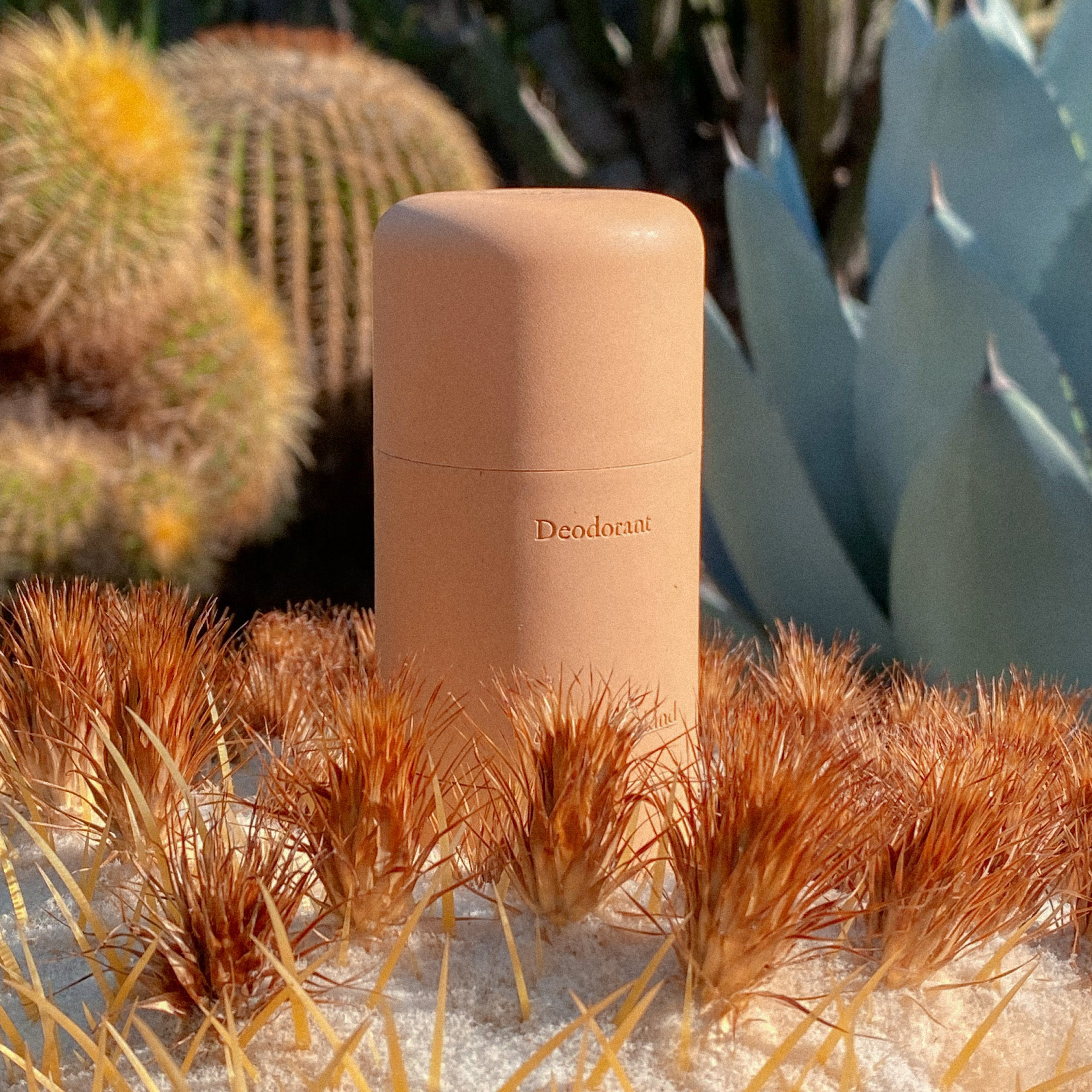 Top-Rated Refillable Deodorant⭐️